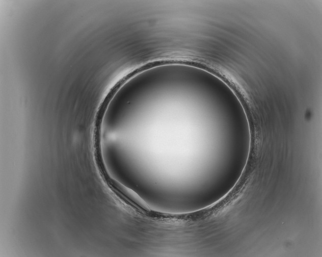 X0000095551085200712211404