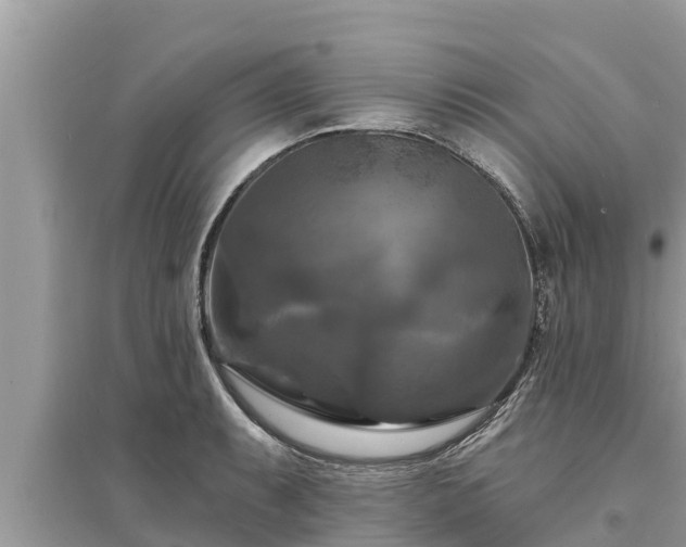 X0000095551087200712211404