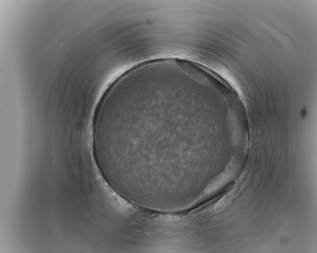 X0000095551088200712211404