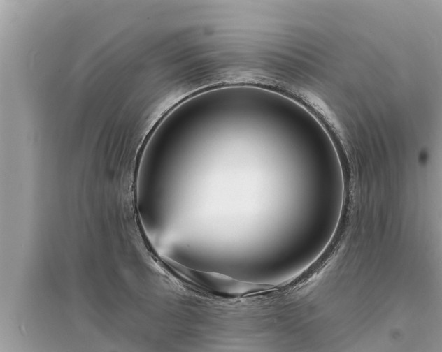 X0000095551089200712211404