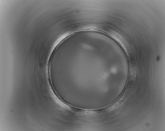 X0000095551090200712211404