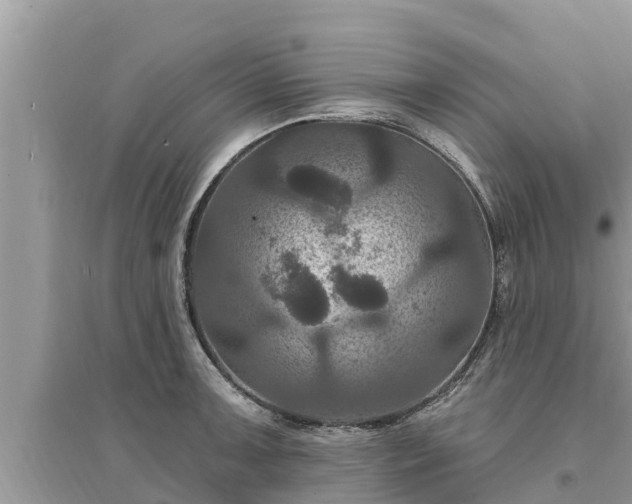 X0000095551091200712211404