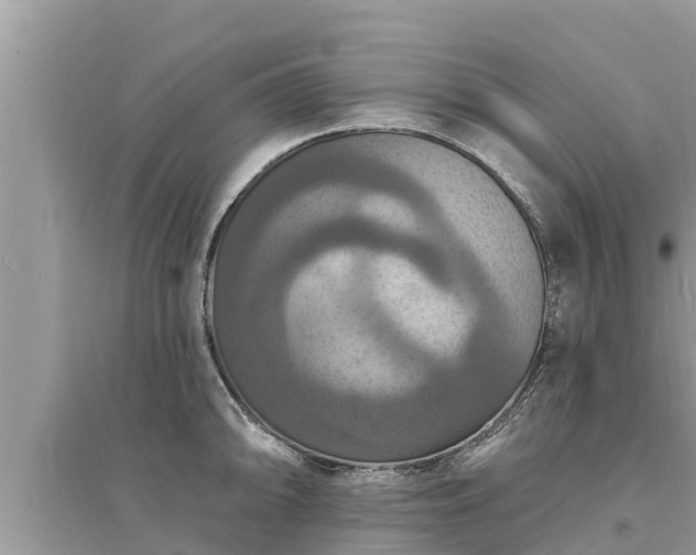 X0000095551094200712211404