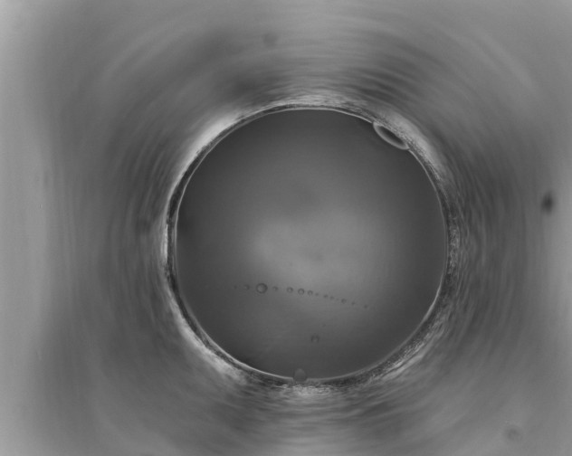 X0000095551095200712211404