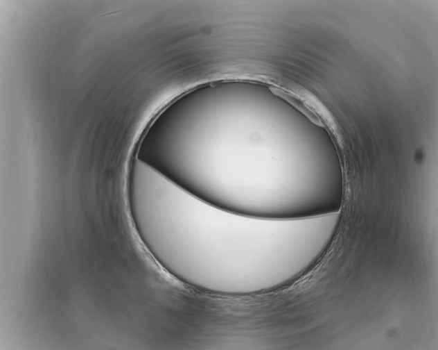 X0000095551096200712211404