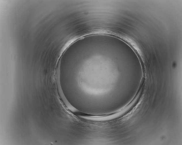 X0000095551097200712211404