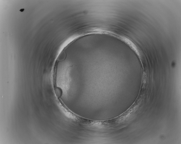 X0000095551098200712211404