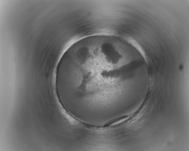 X0000095551099200712211404