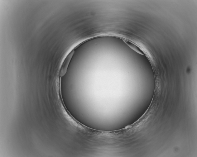 X0000095551100200712211404