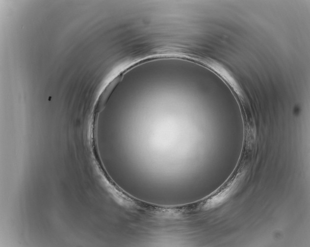 X0000095551101200712211404