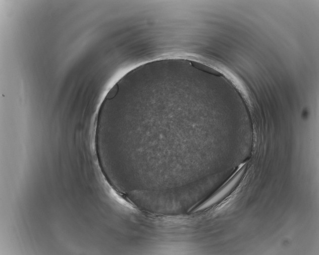 X0000095551102200712211404