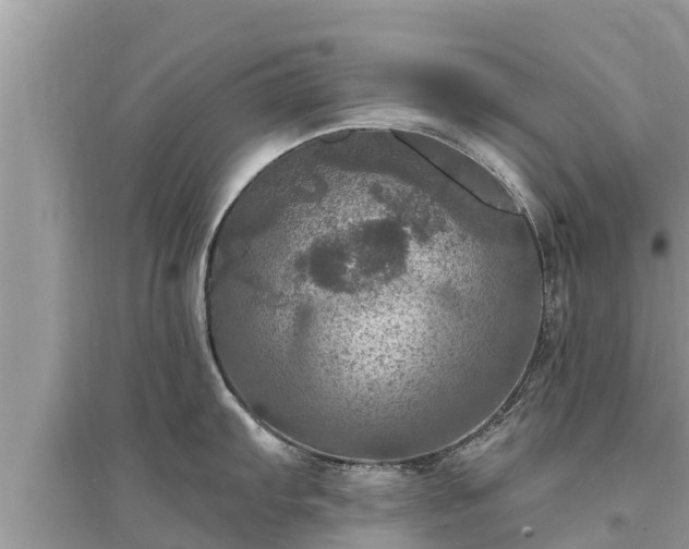 X0000095551103200712211404