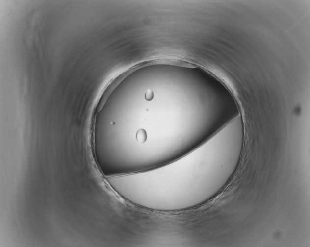 X0000095551104200712211404