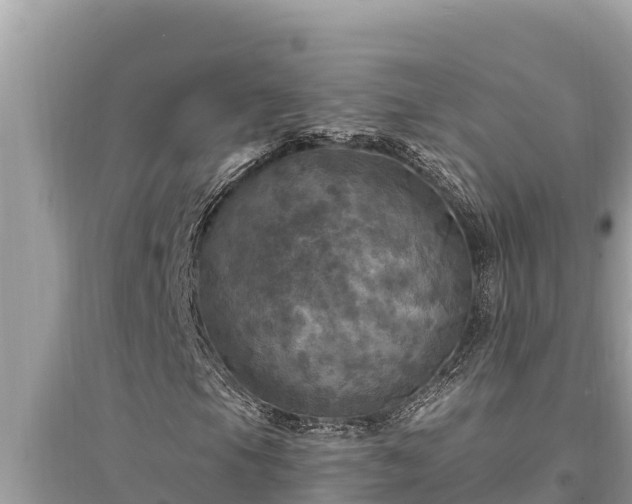 X0000095551105200712211403