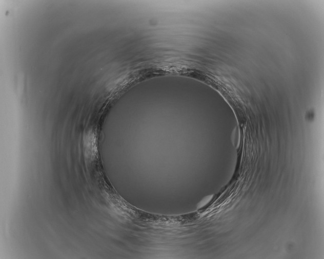 X0000095551106200712211403