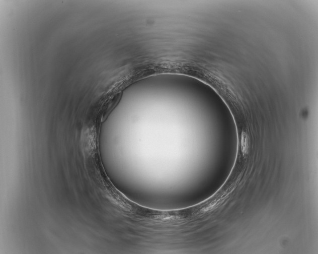 X0000095551107200712211403