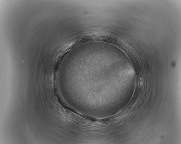 X0000095551108200712211403