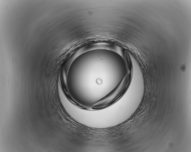 X0000095551110200712211403