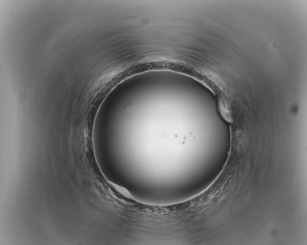 X0000095551111200712211403