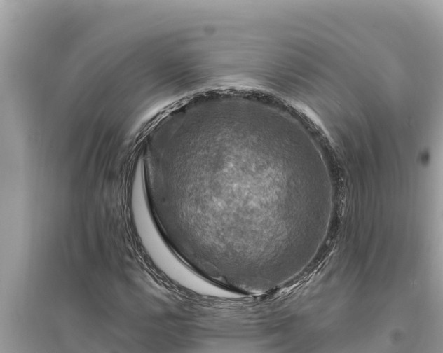 X0000095551112200712211403