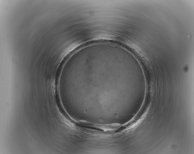 X0000095551113200712211403