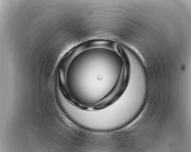 X0000095551114200712211403