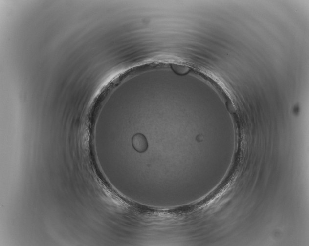 X0000095551115200712211403