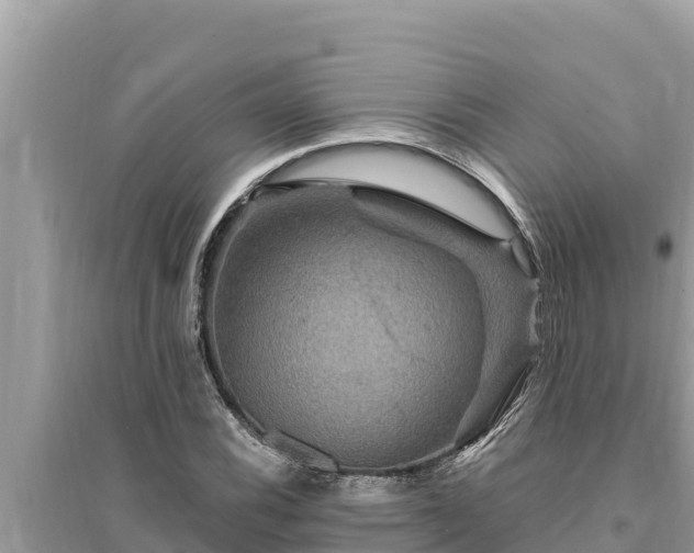 X0000095551116200712211403