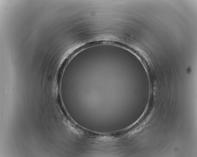 X0000095551117200712211404