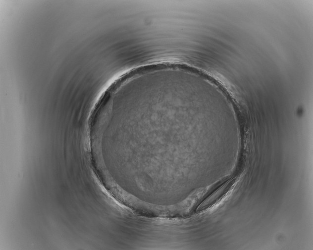 X0000095551118200712211404