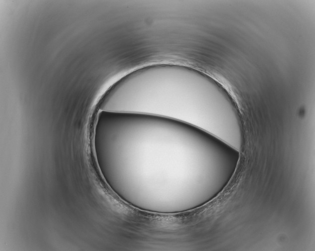 X0000095551120200712211404