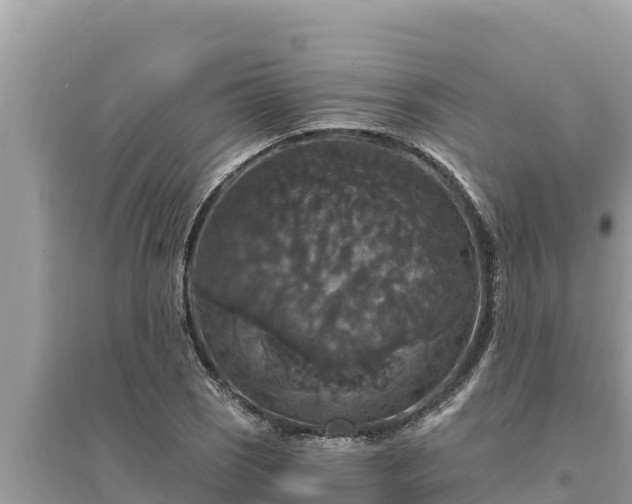 X0000095551121200712211404