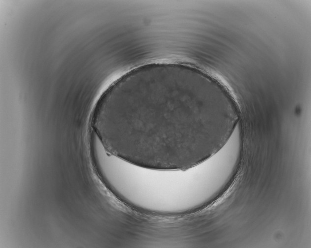 X0000095551122200712211404