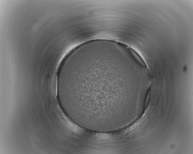 X0000095551123200712211404