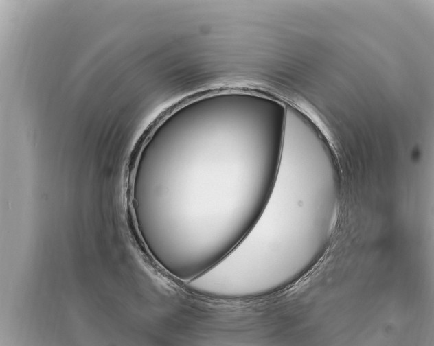 X0000095551124200712211404