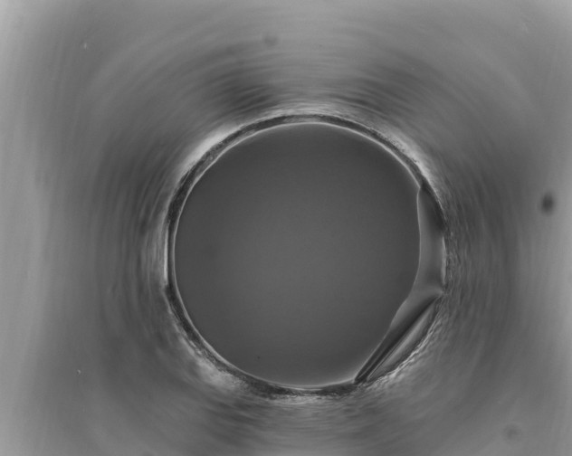 X0000095551127200712211404