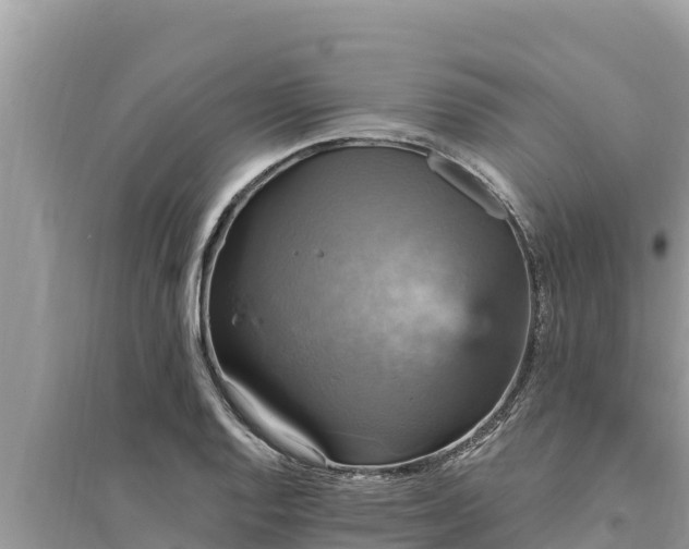 X0000095551128200712211404