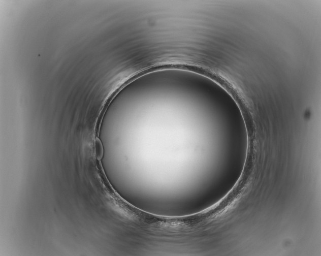 X0000095551129200712211404