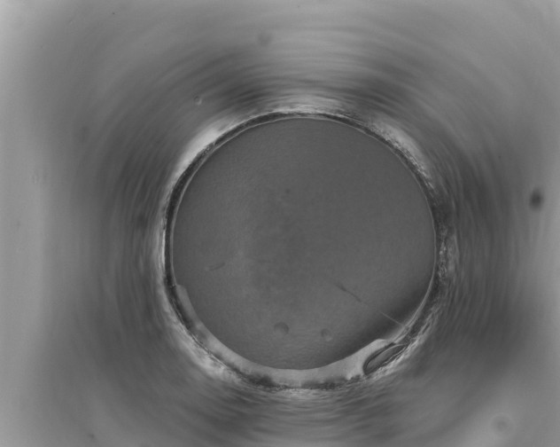 X0000095551130200712211404