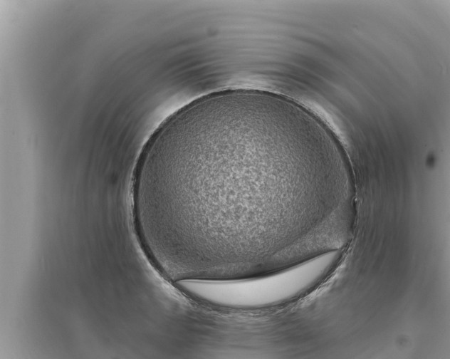 X0000095551133200712211404