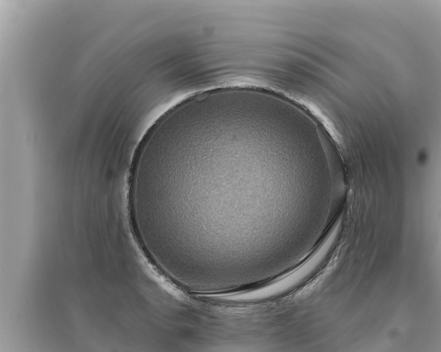 X0000095551134200712211404