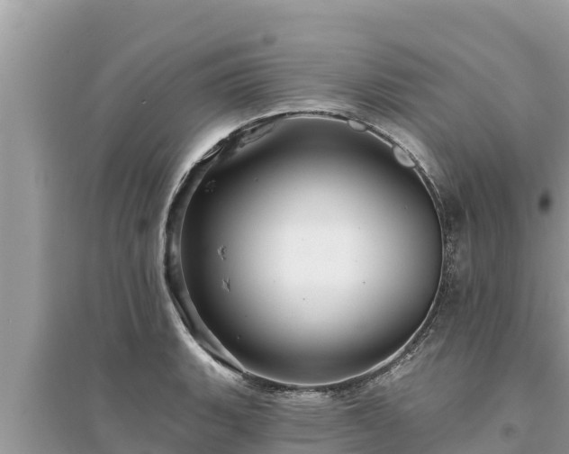 X0000095551135200712211404