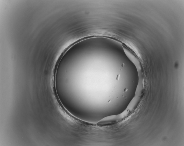 X0000095551136200712211404