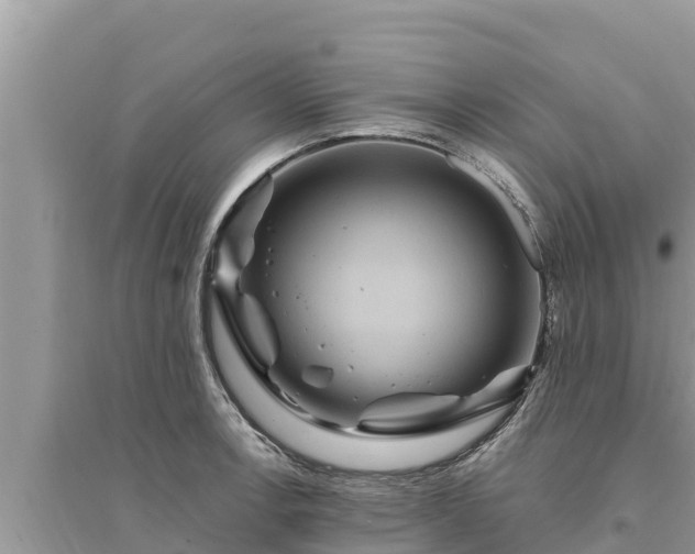 X0000095551138200712211404