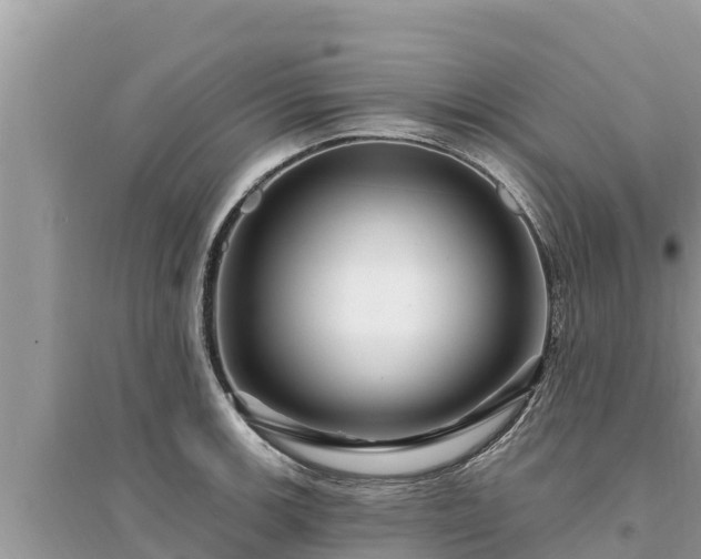 X0000095551139200712211404