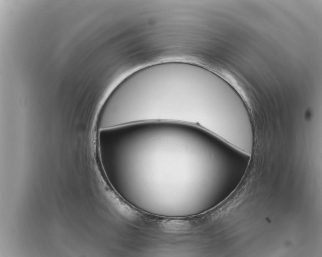 X0000095551140200712211404