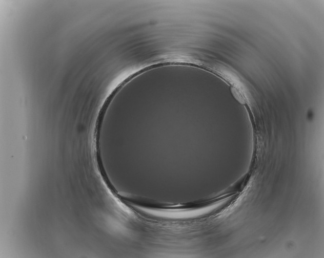 X0000095551141200712211404