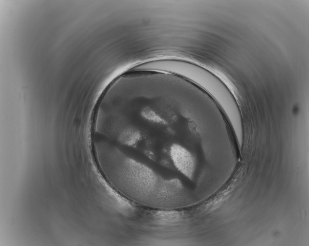 X0000095551142200712211404