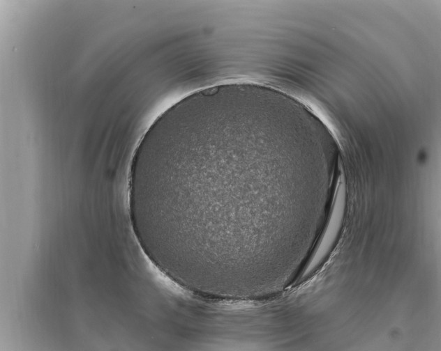 X0000095551143200712211404