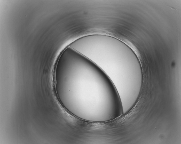 X0000095551144200712211404